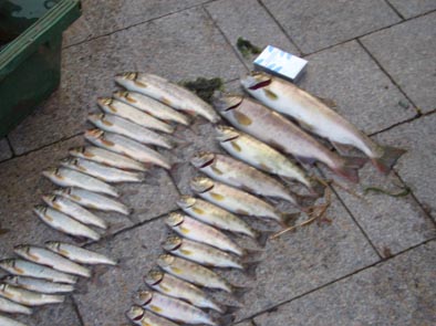 ガーデンデザイナーと職人、花巻市