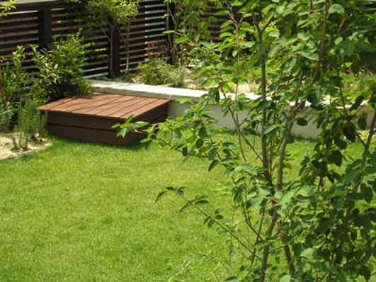 ブルーベリー,ジューンベリー,オリーブ,ハーブ