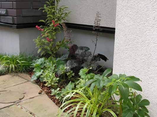 シェードガーデン,エントランス植栽