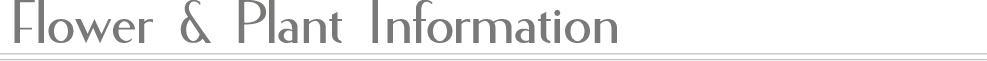 花と植栽情報