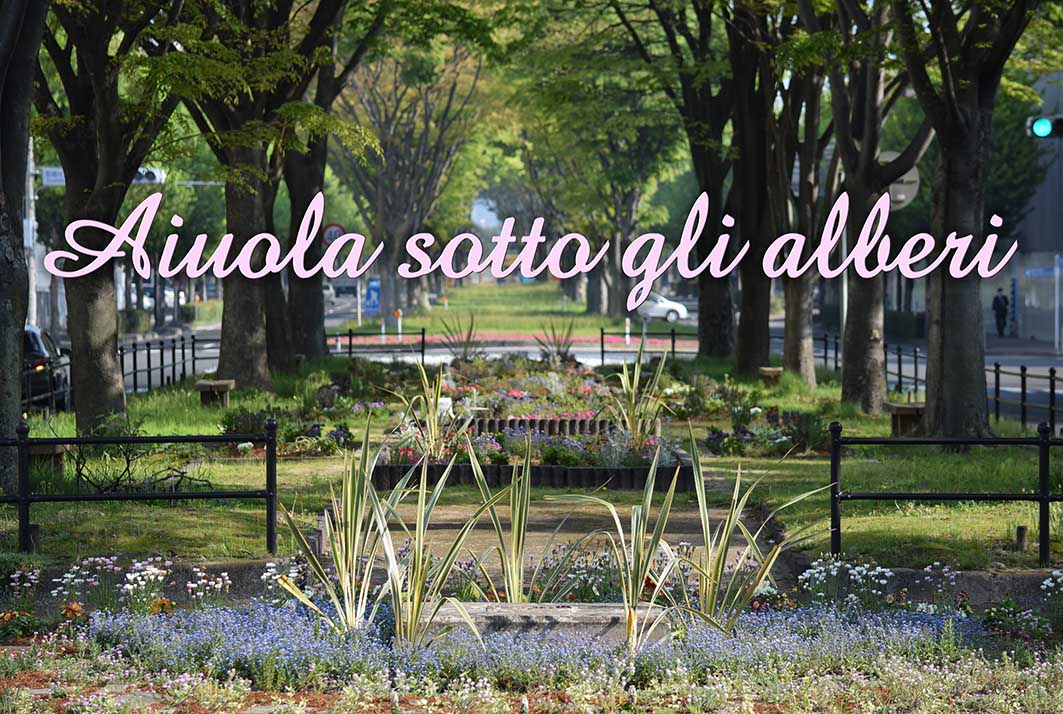 花壇デザイン・植栽アトリエアムニーも花壇維持管理に参加するとともにマスタープランの作成など緑豊かな街づくりに参画しています。