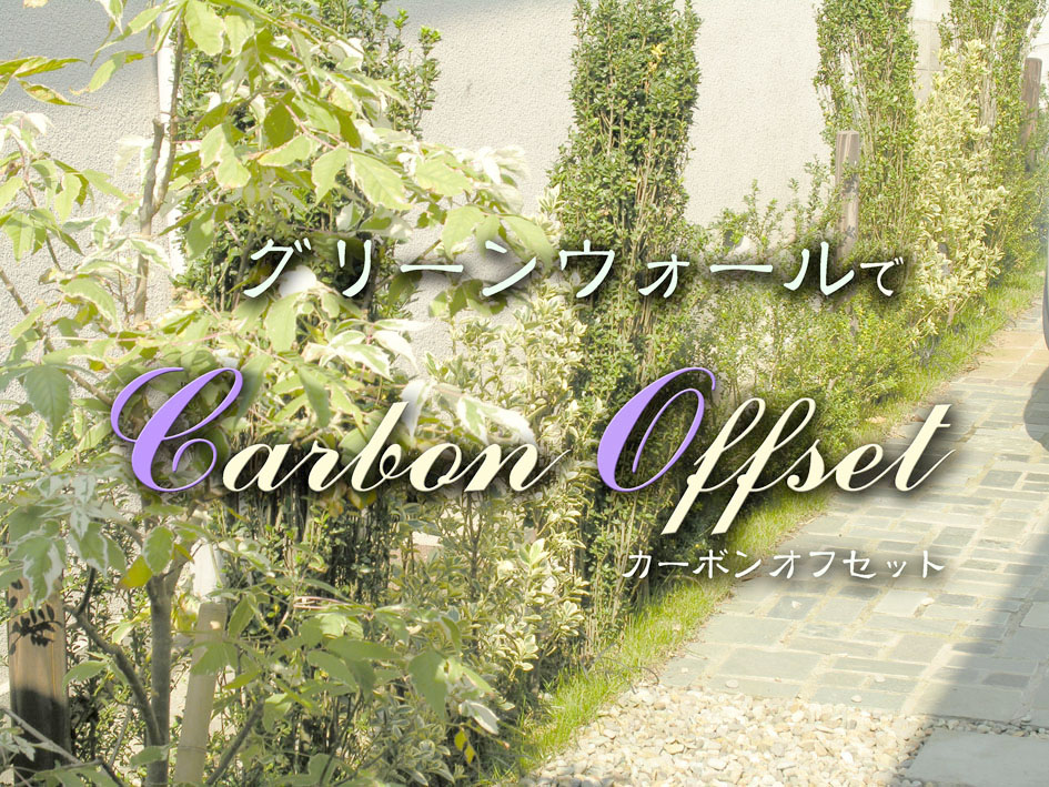 お庭のみずみずしさは雨水タンクのおかげ