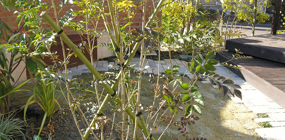 ココマからの眺め