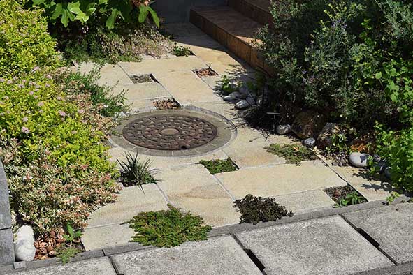 仙台のペットガーデン（クローバー）