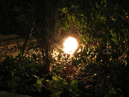 ガーデンライト5