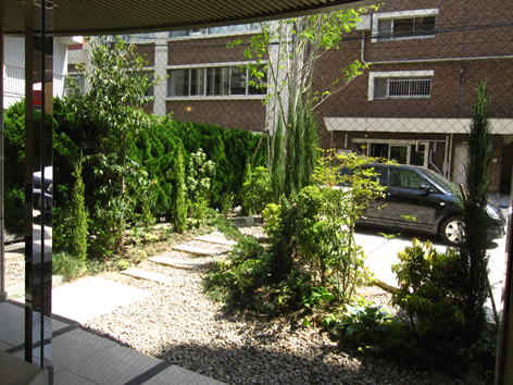 カフェの窓から駐車場リフォームを望む