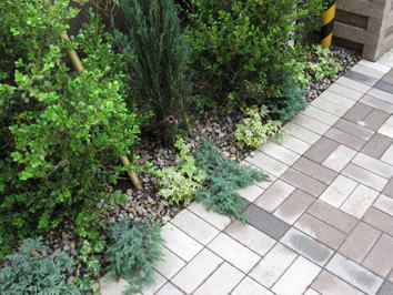 植栽（コニファー）