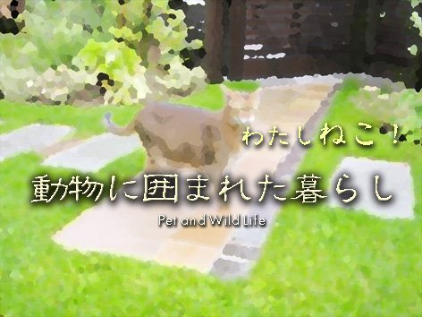 ペットと暮らす