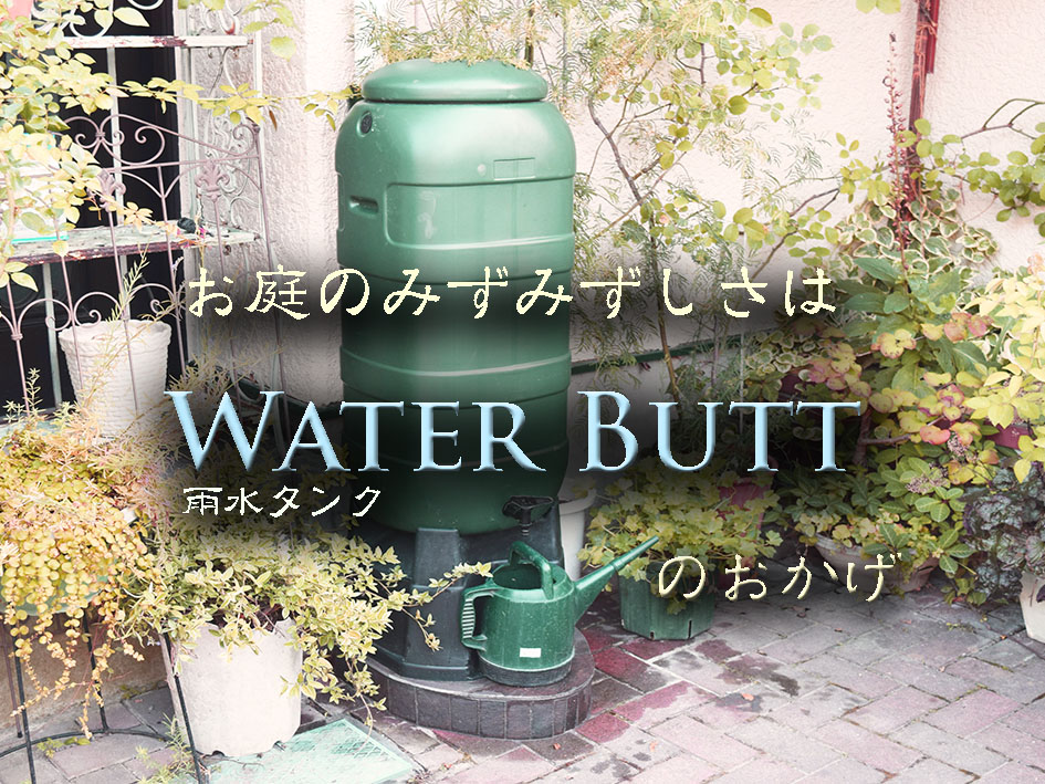 お庭のみずみずしさは雨水タンクのおかげ