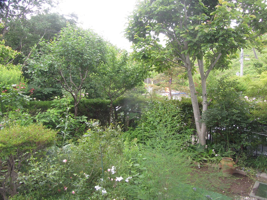 車椅子での庭利用を考慮したリフォーム