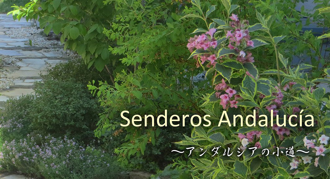 山形/さいたま/庭/外構/エクステリア/工事/樹脂デッキ