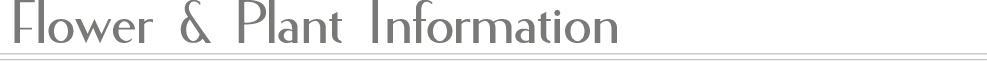 フラワーとプランツインフォメーション