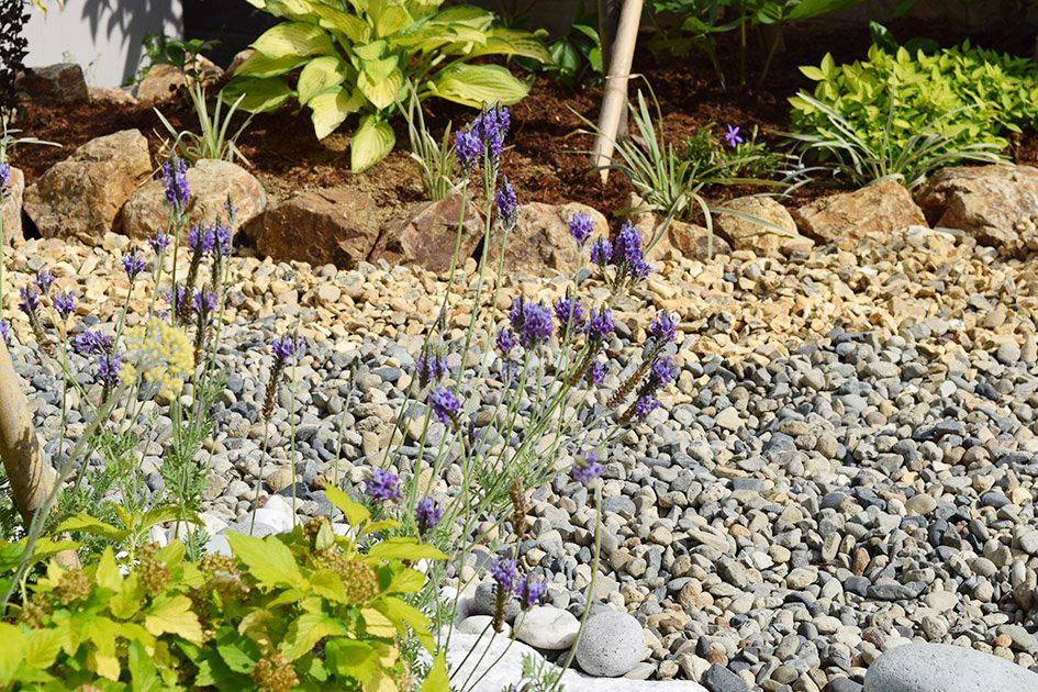 英国産の琥珀色の砂利でグラデーション。（砂利とラベンダー）