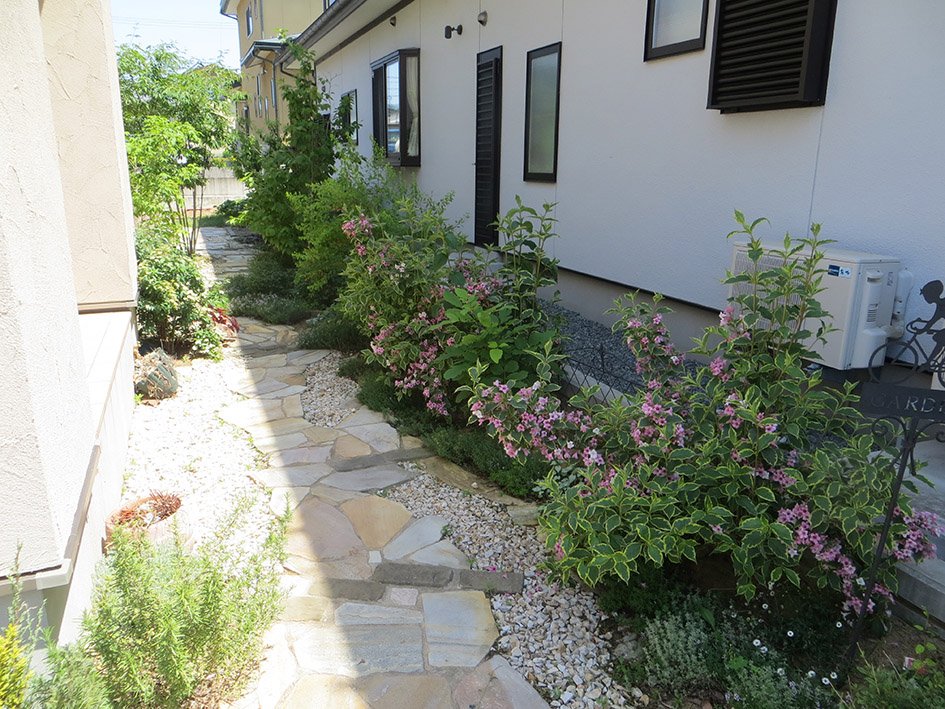 エクステリアでは樹木は温帯の樹木で潤いを与えながら、グランドカバーにはセダムやハーブを多用した。