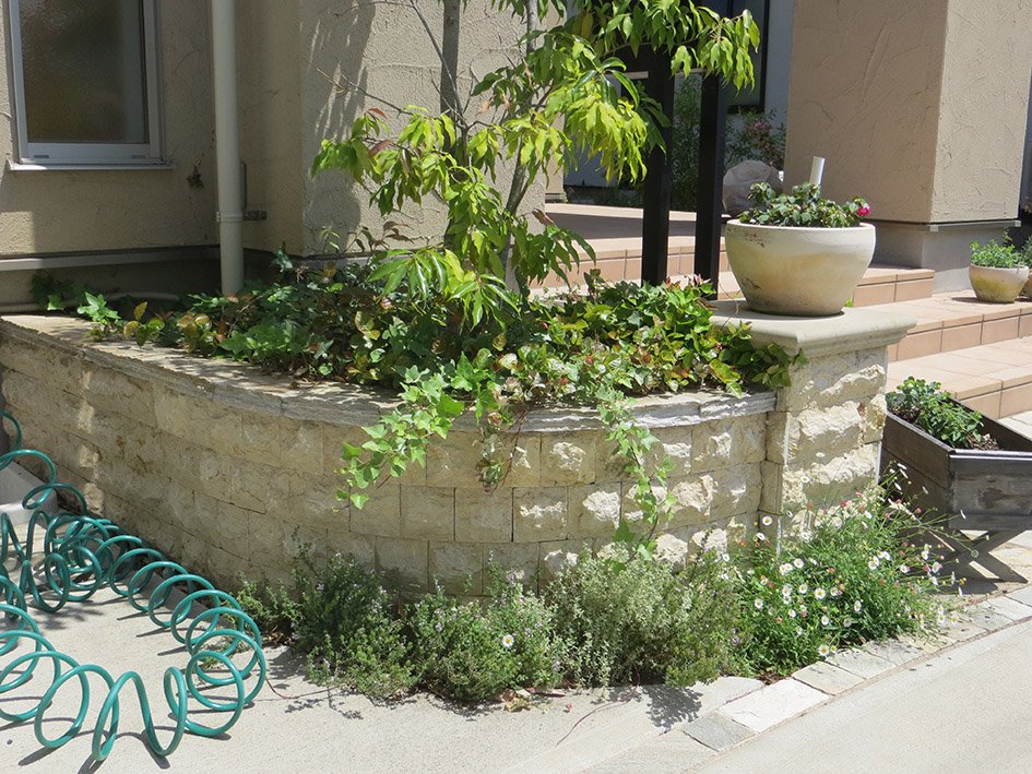 エジプト産のライムストーン