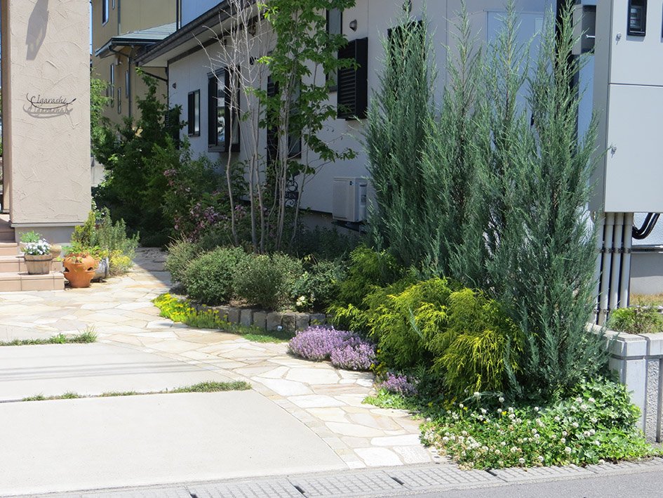 ガーデンにはコニファーもたくさん植えました。