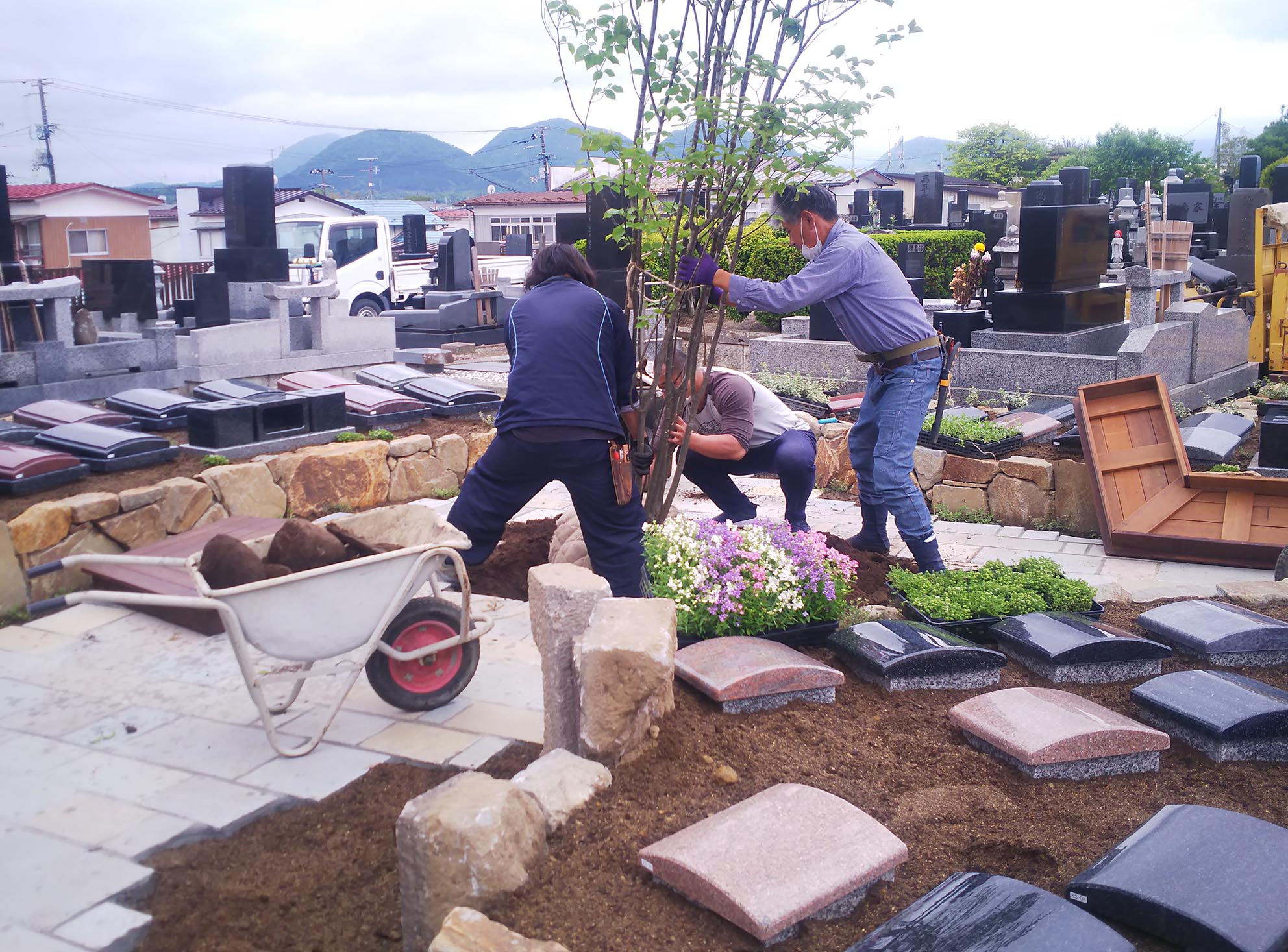 樹木葬の植栽