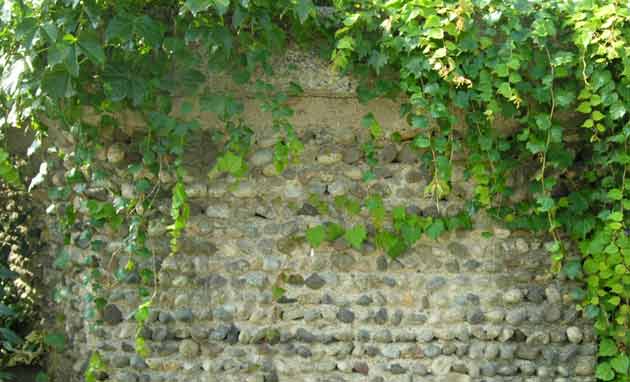 デザイン飯沼伸久埼玉1