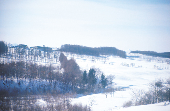 北海道十勝8