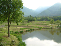 デザイン飯沼伸久エクステリア＆ガーデンデザイン山梨県1