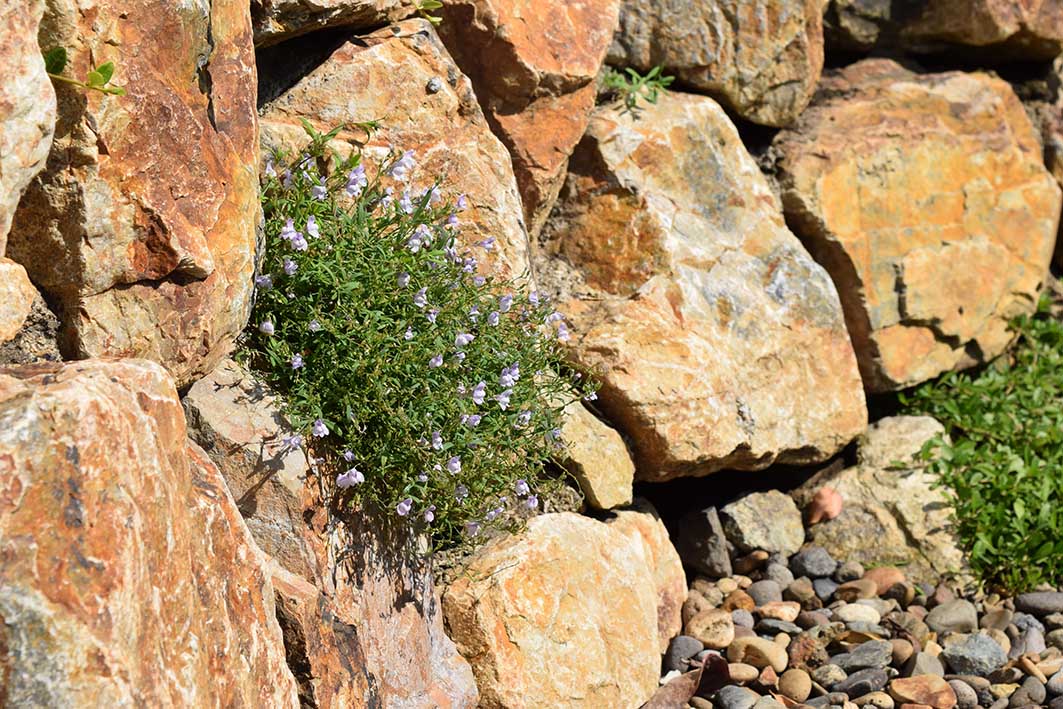 石積み工事のディテール