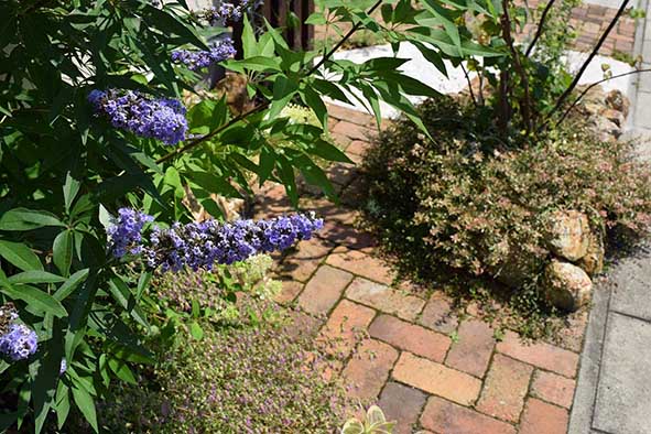 仙台のペットガーデン（エントランスレンガ）