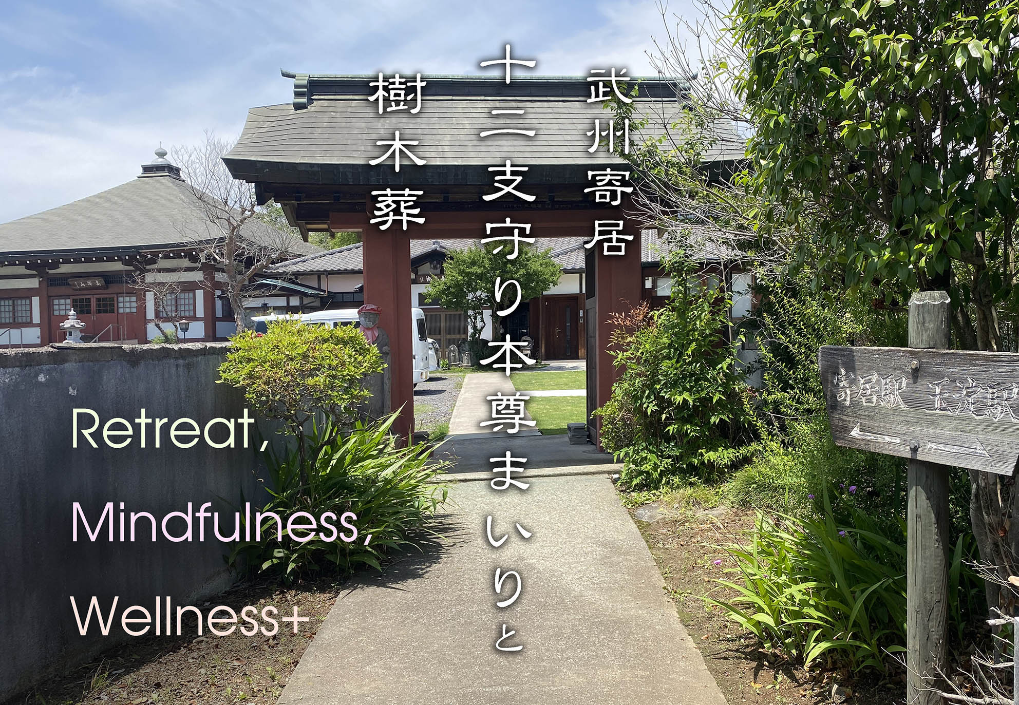 伝統的な檀家制度は、江戸時代に確立され、寺院の維持費を信者の喜捨や寄付によって賄うものでした。しかし、第二次世界大戦後、ライフスタイルの変化に伴い、檀家制度から離れる人が増加しました。現代においては、政府の規制による寺院領の没収が、檀家制度をさらに弱体化させています。地域共生型樹木葬は、伝統的な檀家制度に属さない人々にも魅力的であり、新たな地域社会との関わりと潜在的な財政的貢献の道を提供します。樹木葬を提供することで、寺院は伝統的な檀家以外の支援基盤を多様化し、より強固な財政モデルを構築することができます。より幅広い層の人々、伝統的な寺院との関係を持たない人々を含む、に訴求することで、樹木葬は新たな収入源を生み出し、地域社会の主体性意識を育むことができます。   

伝統的な墓地の管理は、特に高齢化が進む社会において、維持管理されない墓の増加とともに大きな負担となる可能性があります。樹木葬、特に共同墓の形態は、伝統的な石墓よりも空間効率が良い場合があります。一部の樹木葬モデルでは、寺院からの継続的なメンテナンスの必要性が低く、責任や費用の一部を軽減することができます。樹木葬は、土地利用を最適化し、潜在的にメンテナンスの需要を減らすことで、伝統的な墓地の管理における物理的および財政的負担を軽減することができます。樹木葬のコンパクトな性質は、寺院の境内地のより効率的な利用を可能にし、特定のモデルは寺院に必要な長期的な維持管理を最小限に抑えることができます。   

地域の仏教寺院と地域社会との結びつきは薄れつつあります。寺院がその関連性を維持するためには、地域社会の変化するニーズに応える必要があります。地域共生型樹木葬は、環境に配慮した地域社会に焦点を当てた追悼の選択肢を提供することで、より強い結びつきを育むことができます。樹木葬プロジェクトにおける地域団体との連携は、これらの結びつきをさらに強化することができます。地域共生型樹木葬への取り組みは、現代の価値観に合致したサービスを提供し、地域住民の参加を促すことで、寺院の地域社会における中心的な役割を活性化することができます。地域社会を樹木葬地の計画と実施に積極的に関与させることで、寺院は共有の主体性意識を育み、地域住民との結びつきを強化することができます。   

