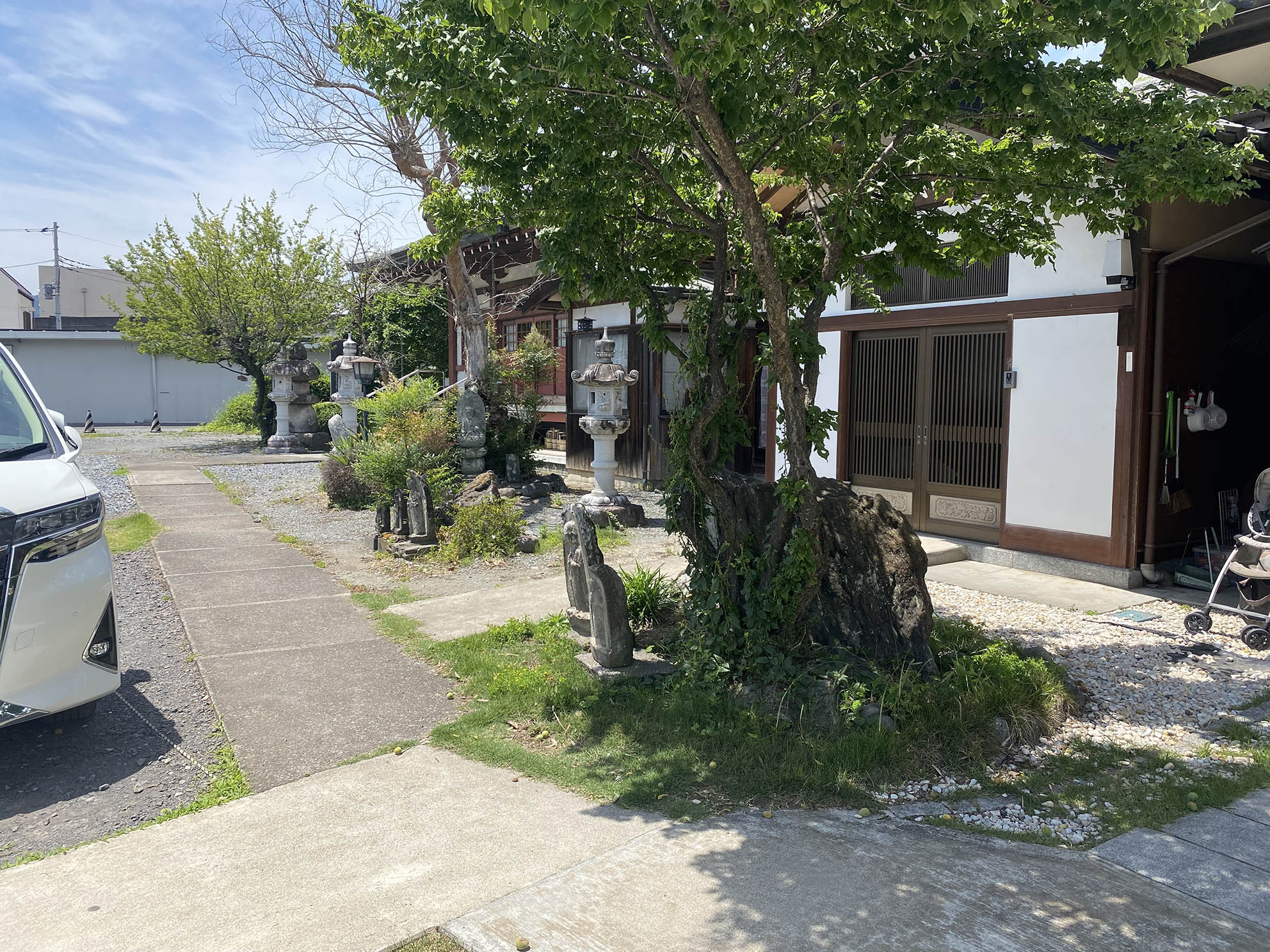 美しい景観の樹木葬