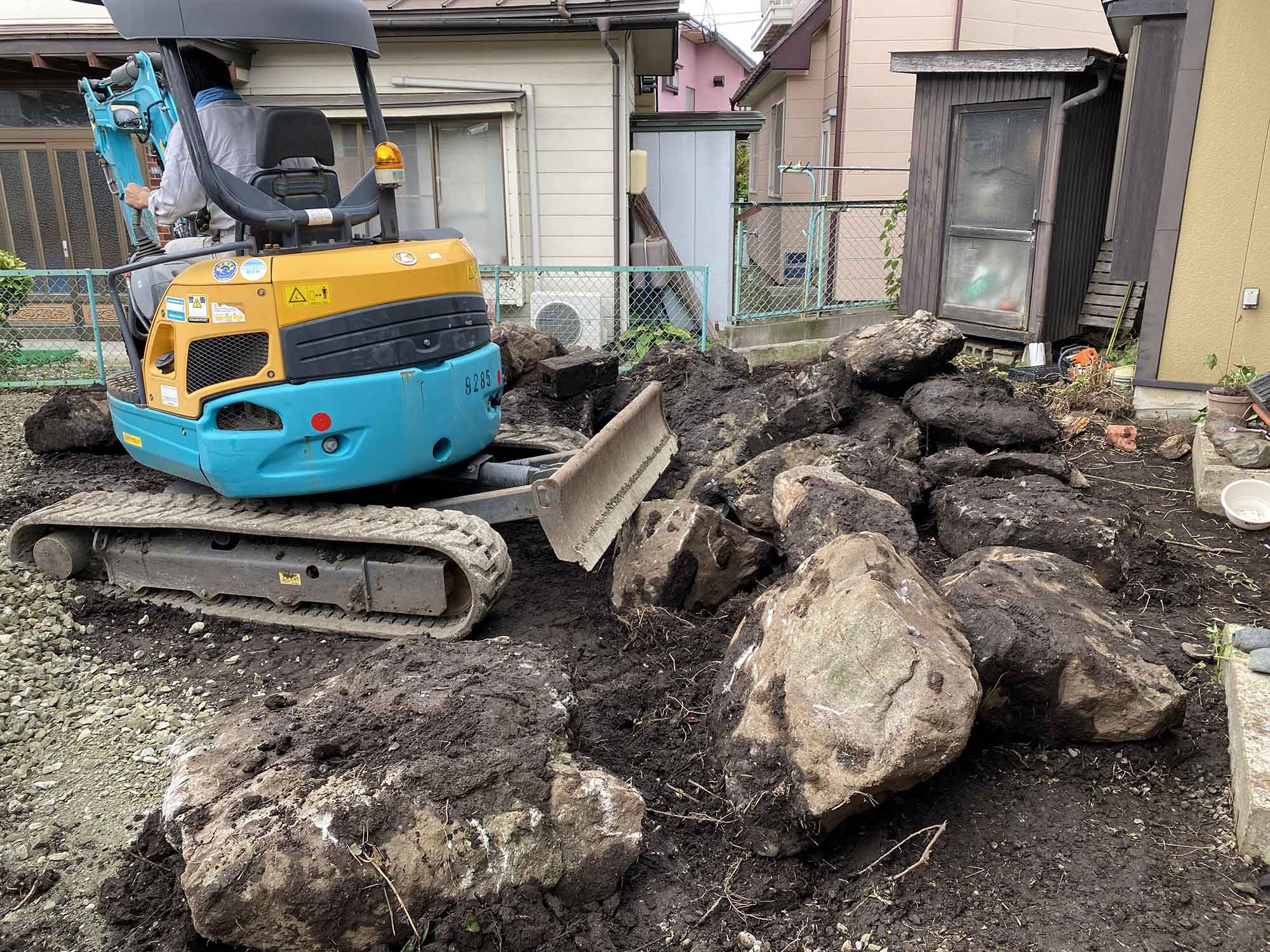 ヒマラヤスギの伐採